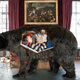 Illustration for article titled Man Lives In Dead Bear For Two Weeks